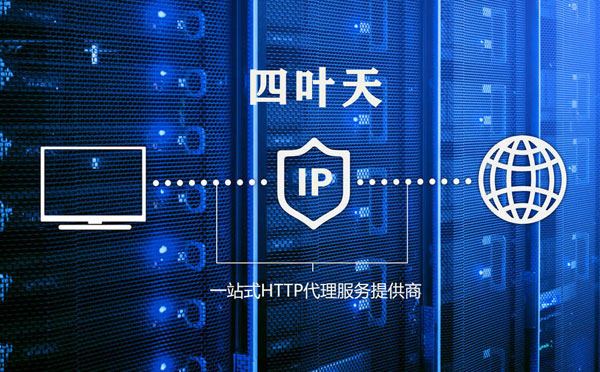 【永新代理IP】代理IP的主要用途和使用注意事项